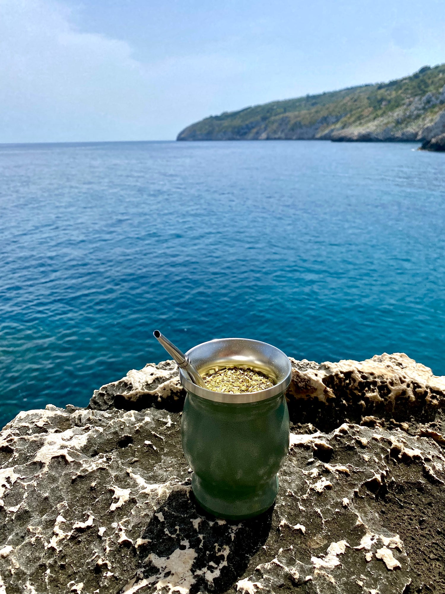 Recette à base de plantes : Yerba Mate & Gingembre