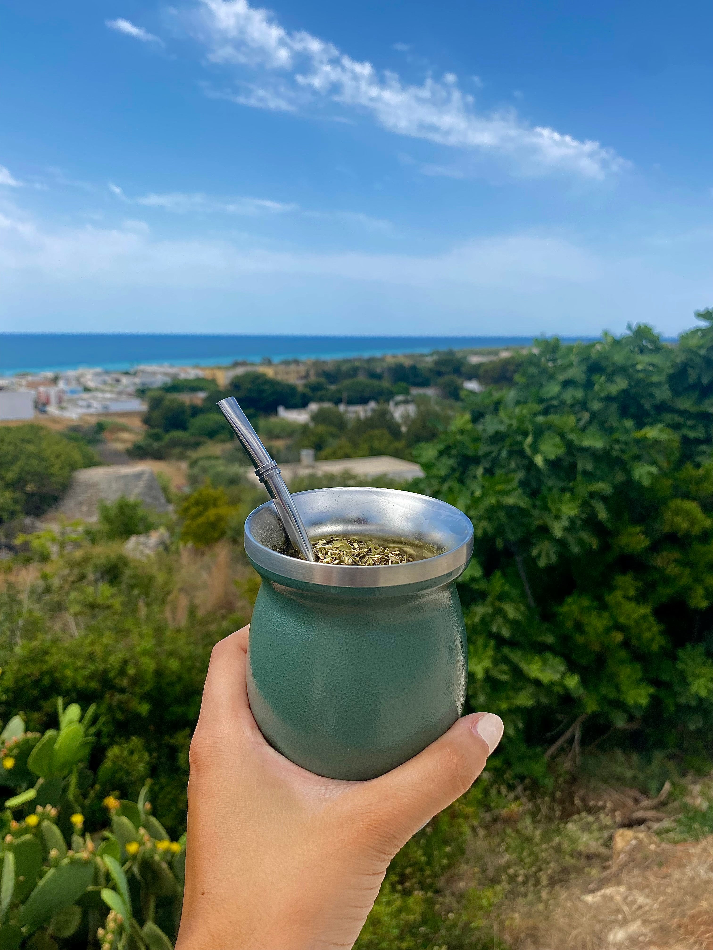 5 bonnes raisons de boire de la Yerba Maté 🧉