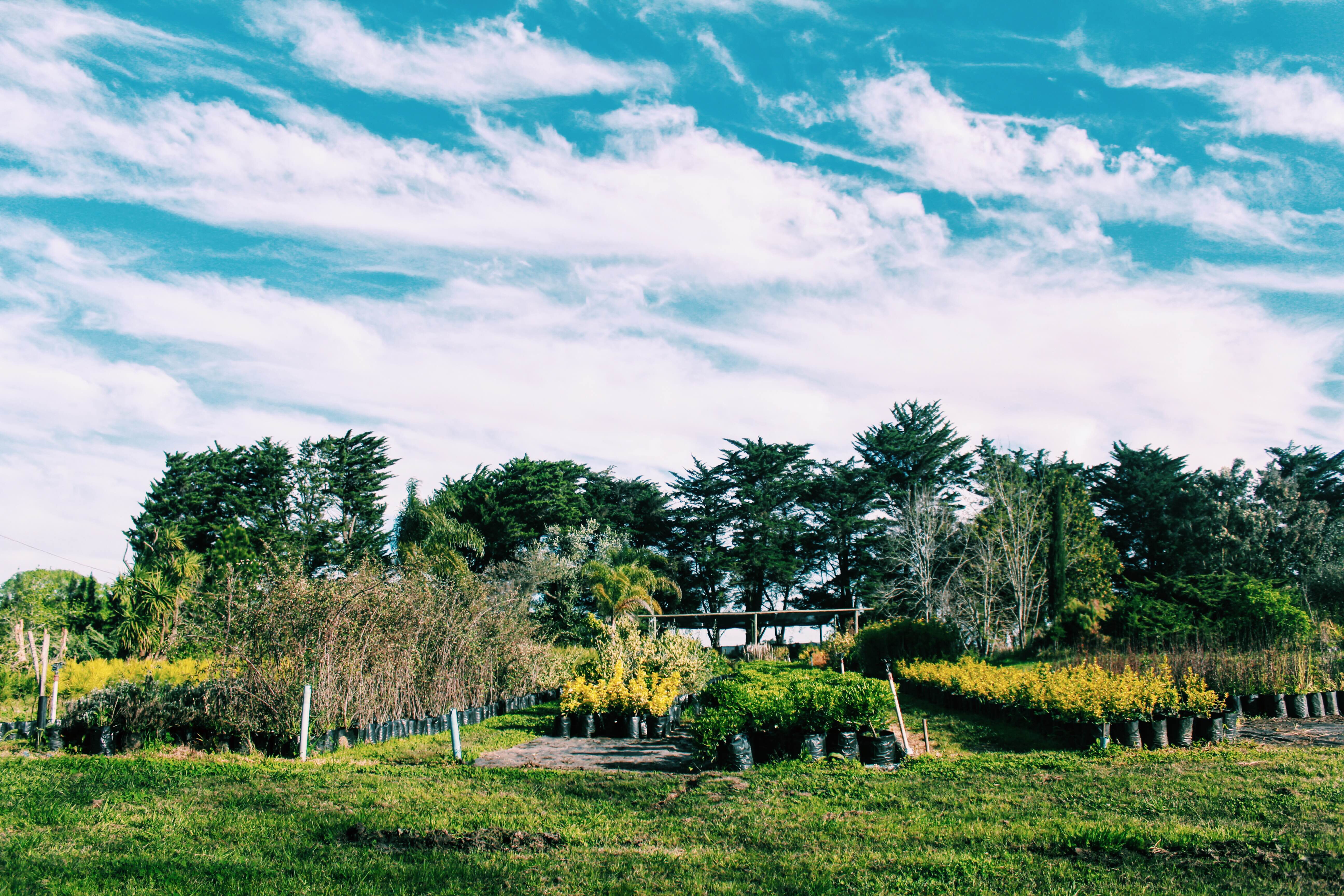 Comment se consomme la Yerba Maté ?