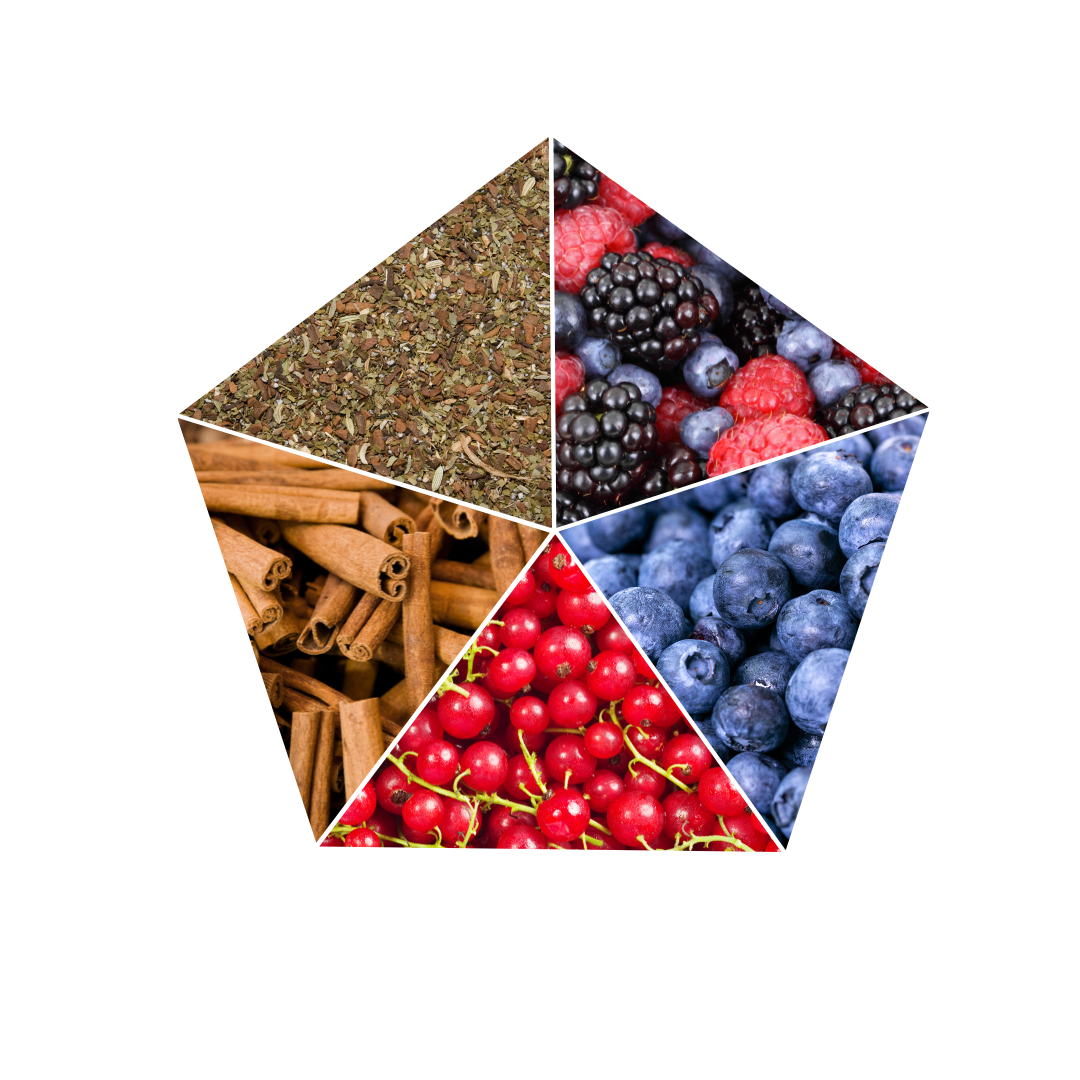 PATAGONIA - Mission Fit