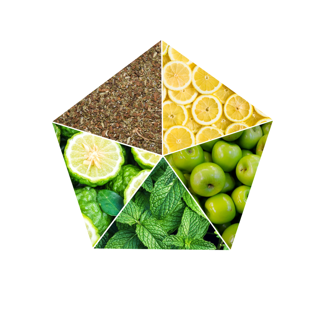 LAGUNA - Focus della missione