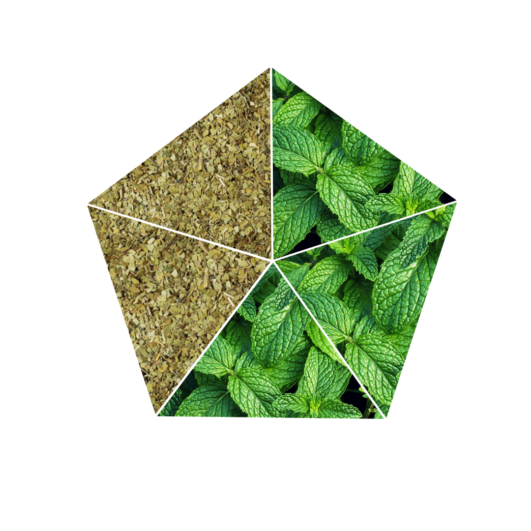 USHUAIA - Mission Boost