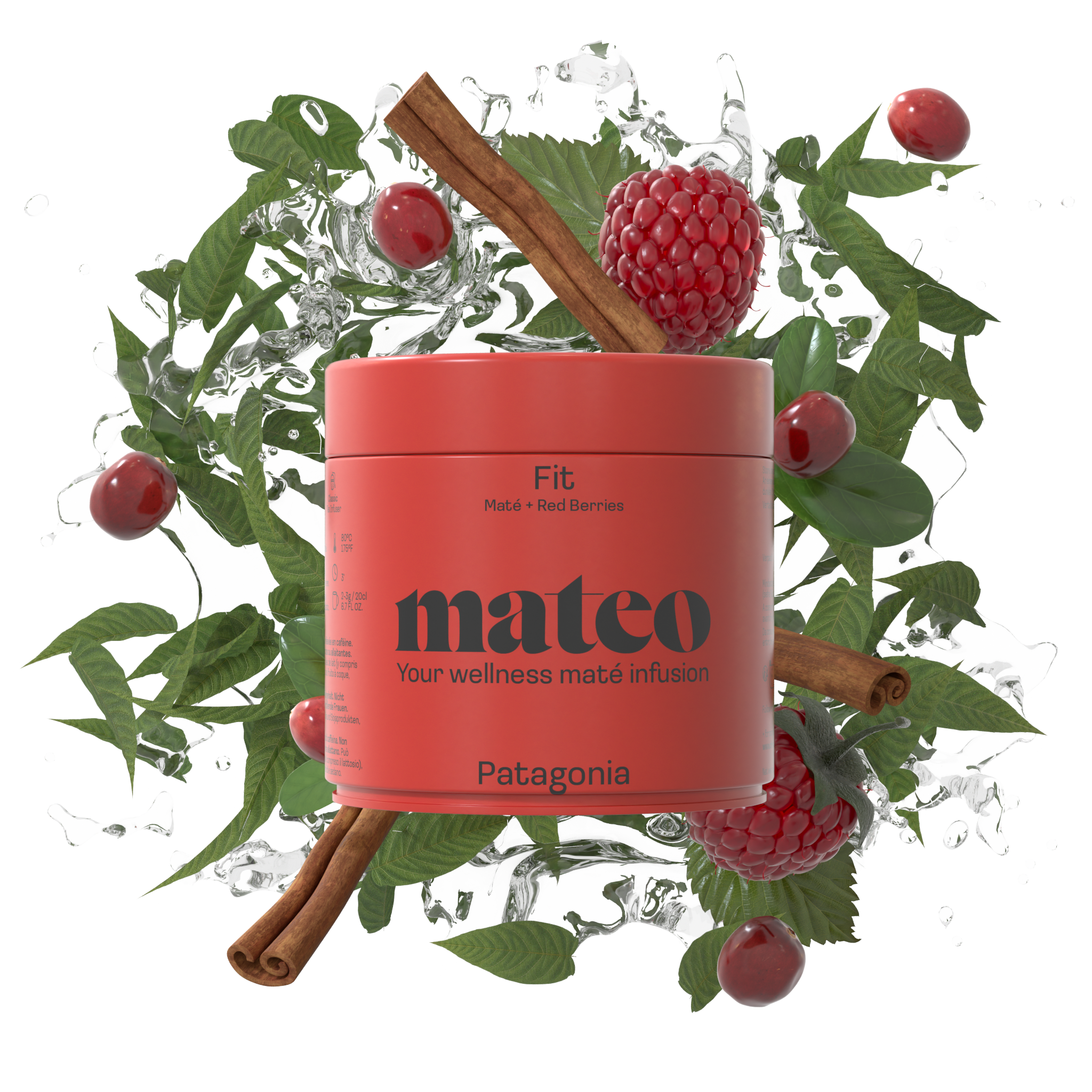 PATAGONIA - Mission Fit