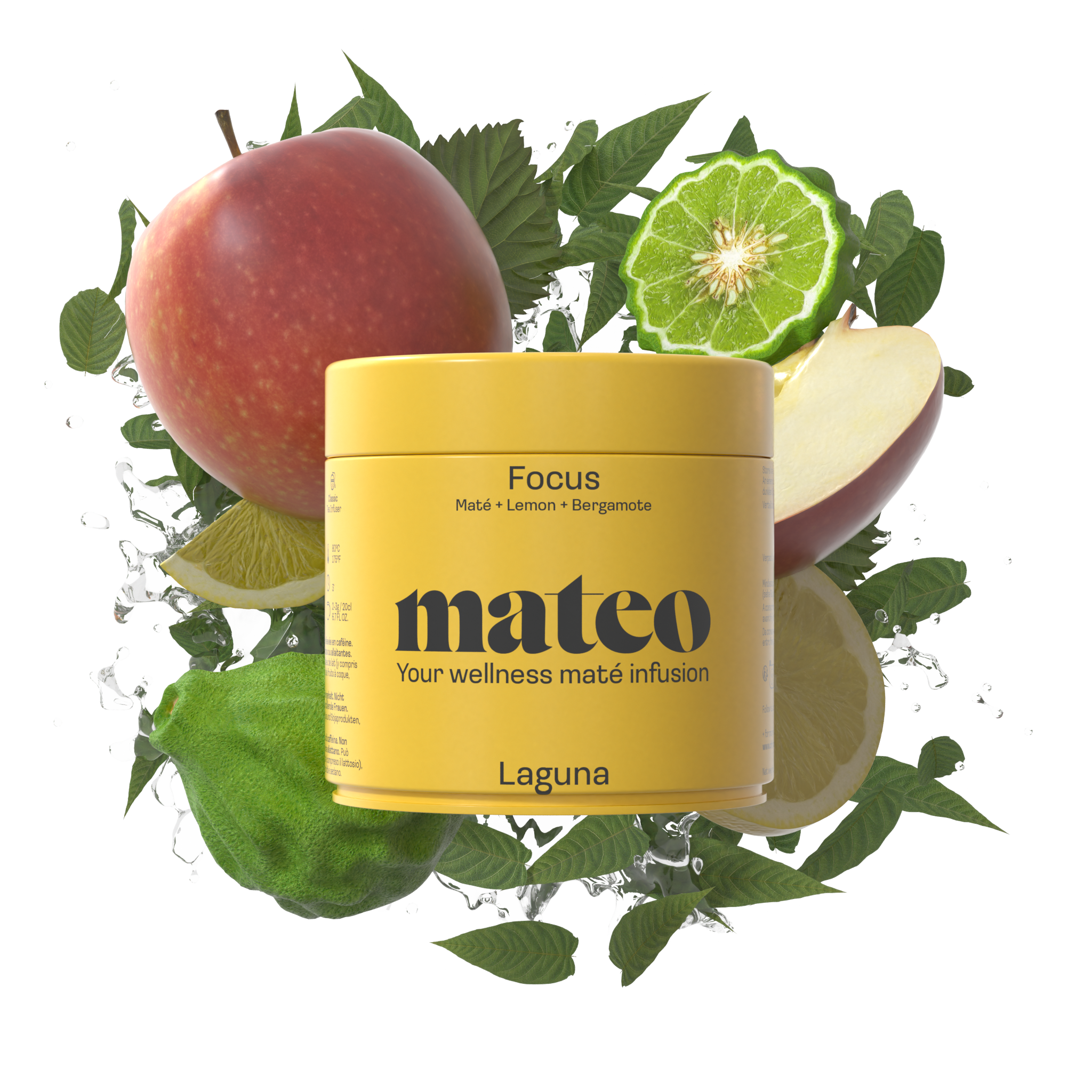 LAGUNA - Mission Focus