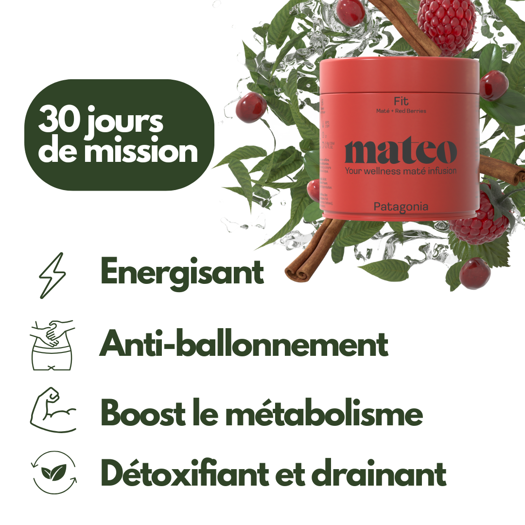 Recharge 300gr - PATAGONIA - Mission Fit