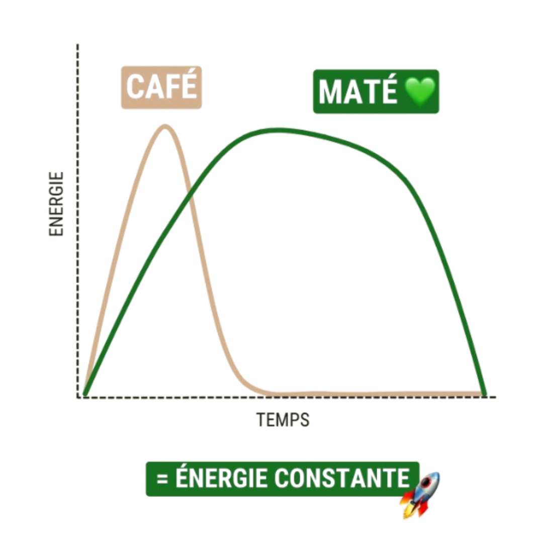 MATERO - Kit de démarrage