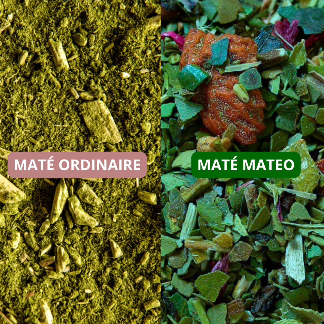 AMAZONIA - Mission Antiox